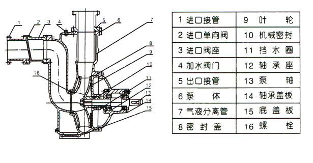 ZWP型不锈钢自吸式无堵塞小黄片应用下载（结构图）